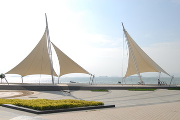 光遇普通陪和指定陪是什么