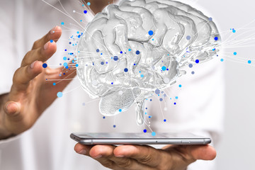 科目三考些什么内容？