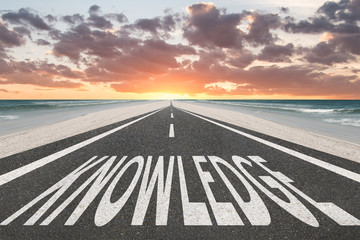 切花月季怎么养护（关于月季切花的养护知识）