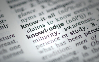 光遇普通陪和指定陪是什么