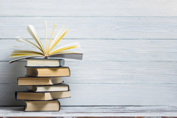 我喜欢的植物及特点