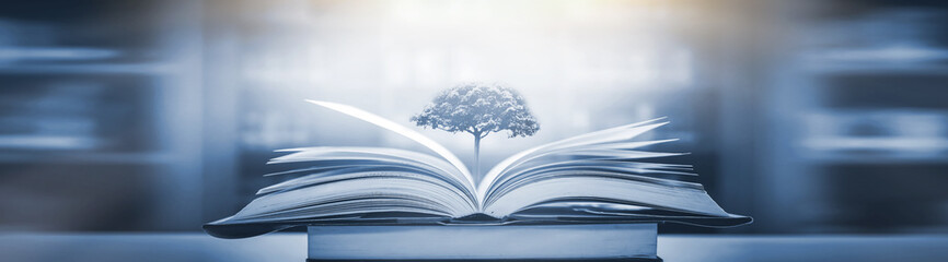 科目三考些什么内容？