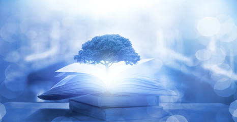 高中生物奥赛训练试题及答案(2)