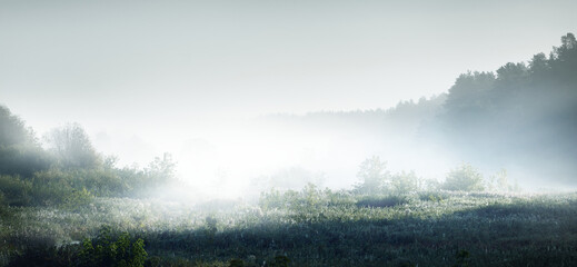 最实用的生活小妙招