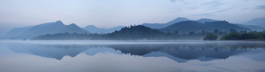 各种古怪又美丽的奇特植物