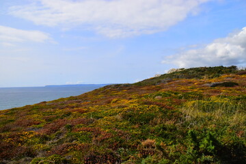幼儿园托班优秀教案