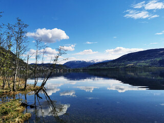 高中生物奥赛训练试题及答案(2)