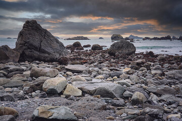 幼儿园小班教案《认识水果》