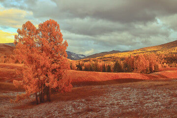 大学社团用英语怎么说比如篮球社魔方社还有社团内社