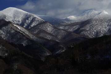 幼儿园托班优秀教案