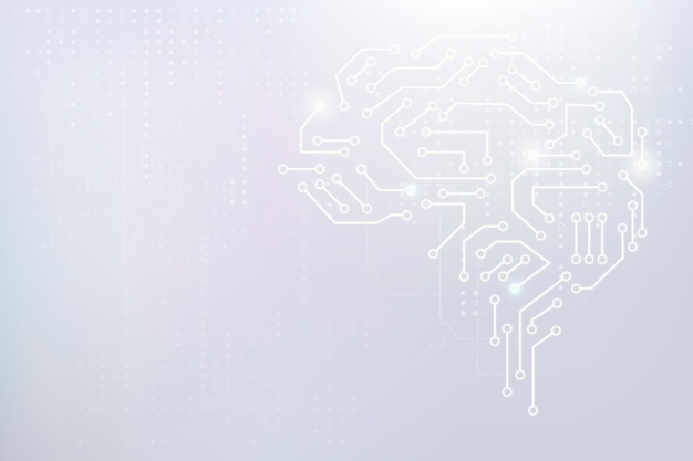 我喜欢的植物及特点