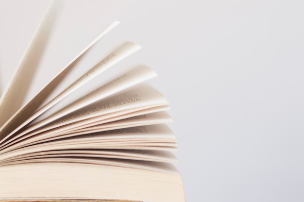 幼儿园小班教案《认识水果》