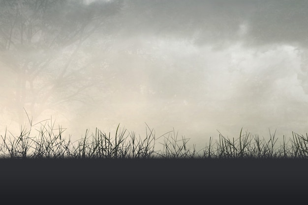 各种古怪又美丽的奇特植物