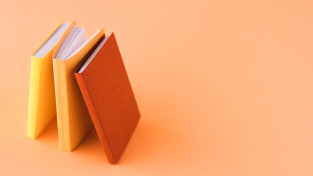 养生壶可以煮鸡鸭鱼汤么