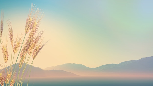 幼儿园小班教案《认识水果》