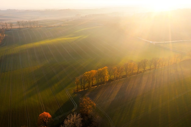 大学社团用英语怎么说比如篮球社魔方社还有社团内社